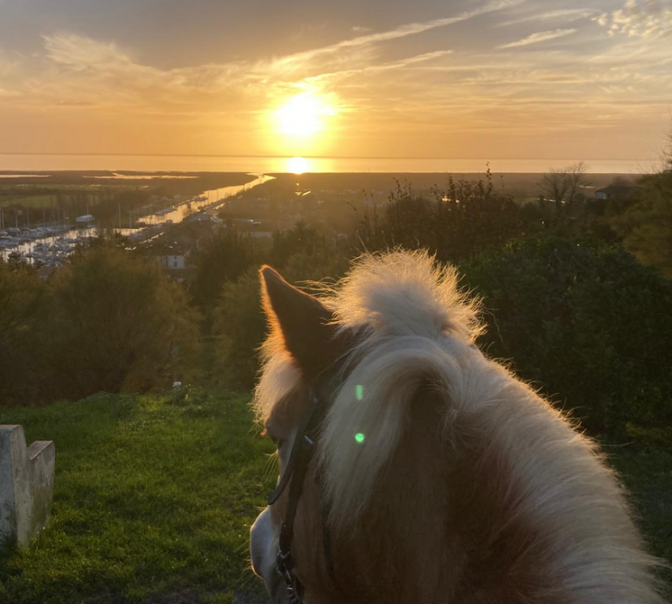 Balade à cheval au coucher du soleil sur l'estuaire
