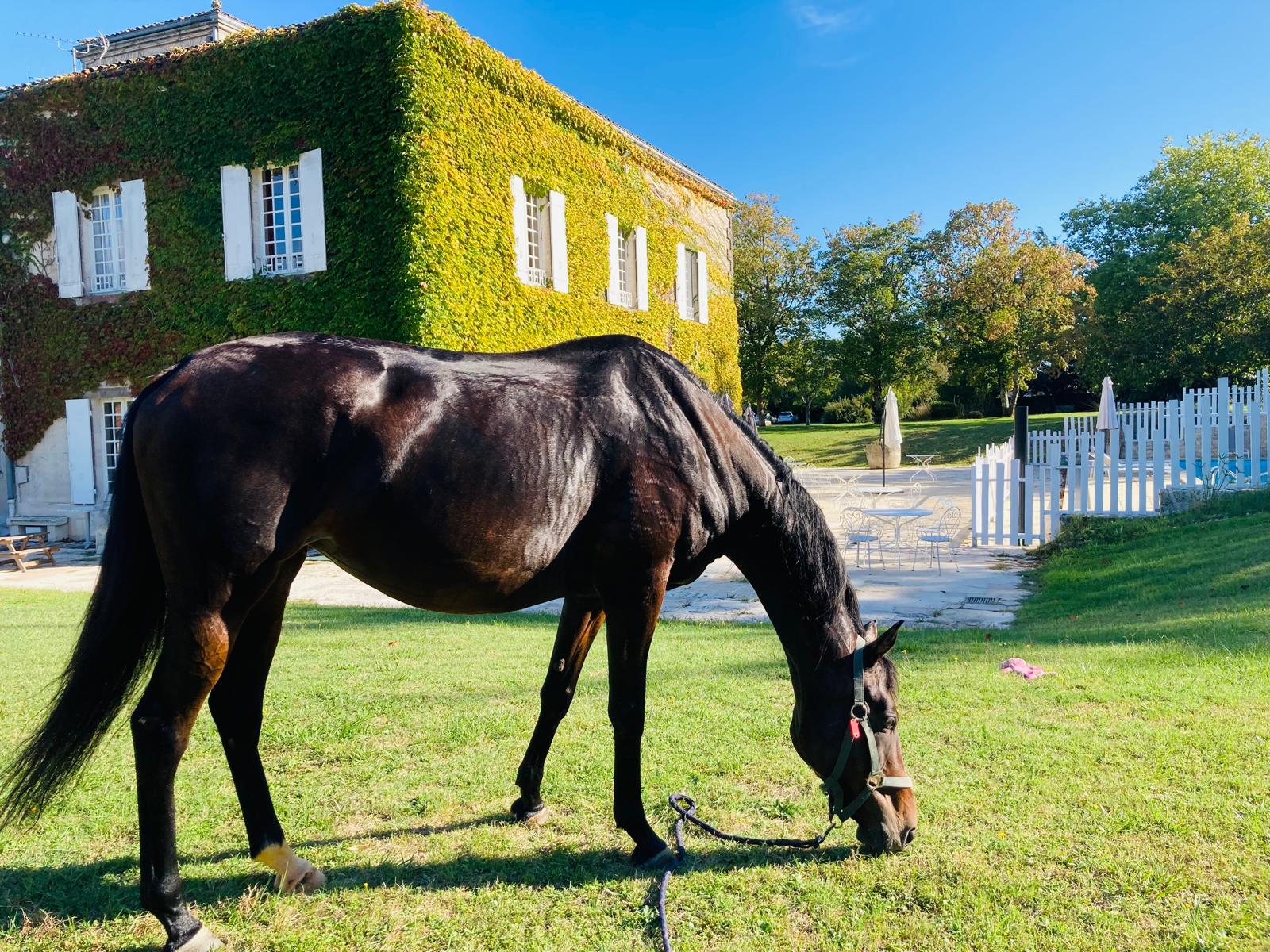 L'écurie du Clos de Bellevue