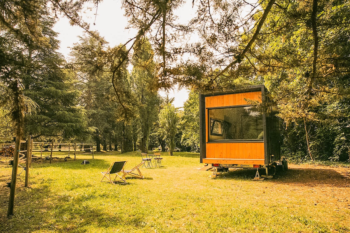 La tiny house nichée sous les arbres du domaine