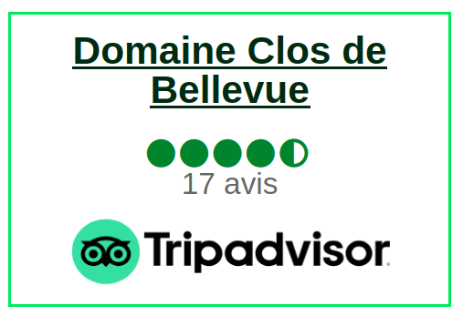 Trip Advisor Vélo